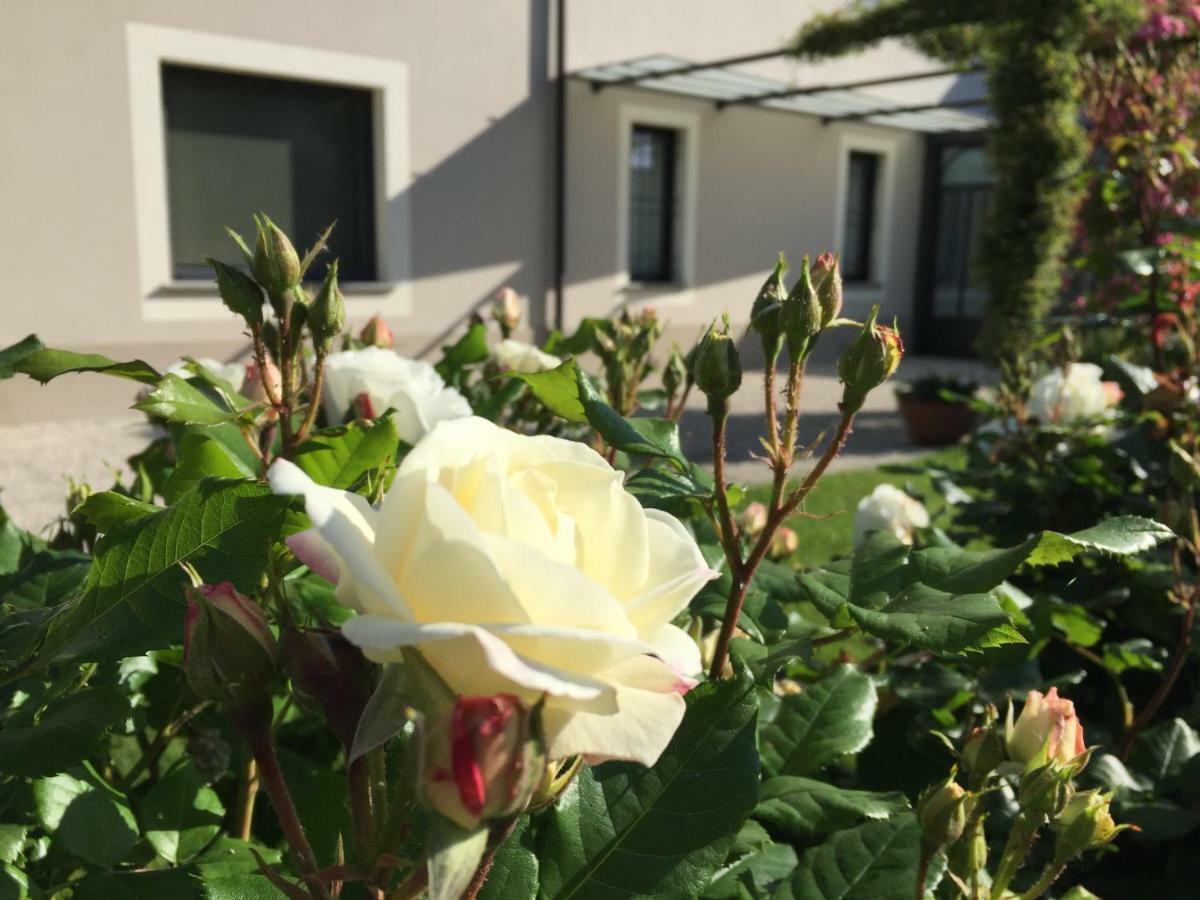 Asola B&B Cascina Sagrestia المظهر الخارجي الصورة